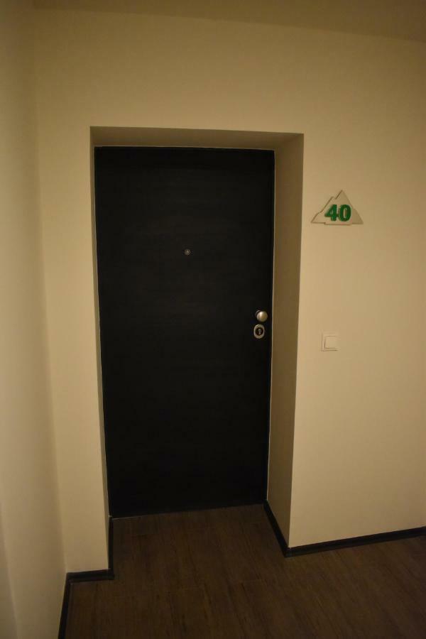 Silver Mountai G1 40 Deluxe Apartment Пояна Брашов Екстериор снимка